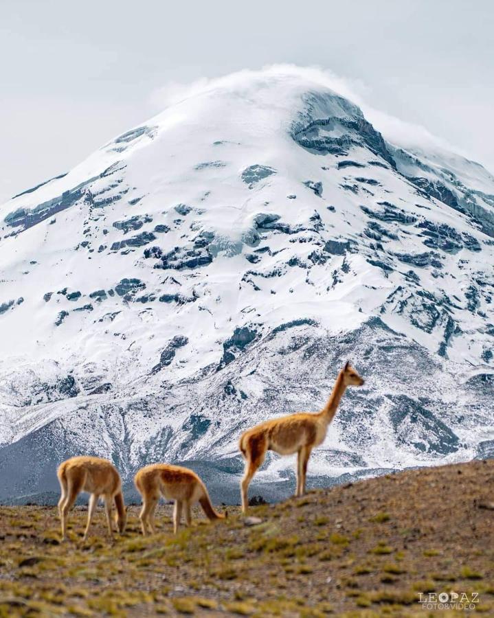 Hotel Bonaventure Quito Dış mekan fotoğraf